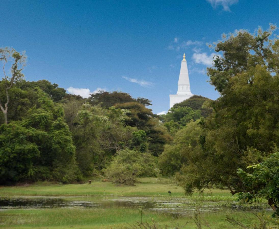 Dula Lake Resort Anuradhapura Zewnętrze zdjęcie